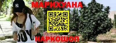 стаф Камышлов
