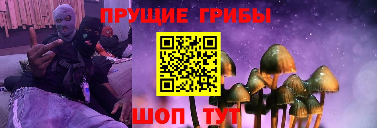 Галлюциногенные грибы мицелий  Галлюциногенные грибы Psilocybine cubensis  Вход с VPN  Краснокаменск 